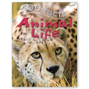 Книги для детей: 100 Facts Animal Life