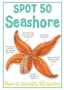 Книги для дітей: Spot 50 Seashore
