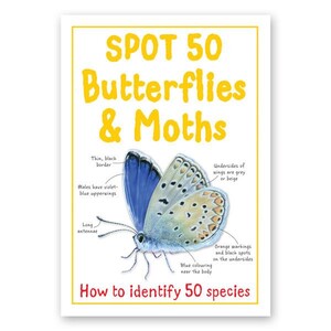 Книги про животных: Spot 50 Butterflies & Moths