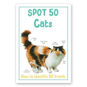 Книги про тварин: Spot 50 Cats