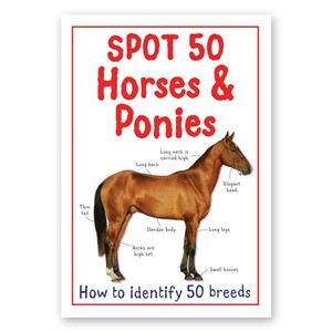 Пізнавальні книги: Spot 50 Horses & Ponies