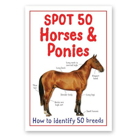 Для молодшого шкільного віку: Spot 50 Horses & Ponies