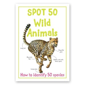Книги для детей: Spot 50 Wild Animals