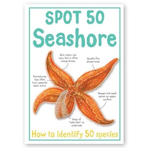 Книги для дітей: Spot 50 Seashore- Miles Kelly