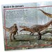 Pocket Edition 100 Facts Dinosaurs дополнительное фото 2.