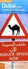 Rough Guide Map Dubai & UAE [Penguin]