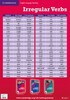 Cambridge Irregular Verbs Poster