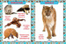 Первая энциклопедия животных для малышей, от 8 мес до 5 лет, Кристалл Бук дополнительное фото 2.