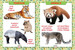 Перша енциклопедія тварин для малюків, Від 8 міс до 5 років, Кристалл Бук дополнительное фото 1.