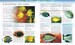 Encyclopedia of Aquarium & Pond Fish дополнительное фото 2.