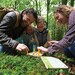 Прес для квітів Hape Nature Fun Гербарій з фарбами (E5574) дополнительное фото 5.