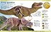 First Dinosaur Encyclopedia [Hardback] дополнительное фото 1.