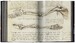 Leonardo. The Complete Paintings and Drawings [Taschen] дополнительное фото 14.