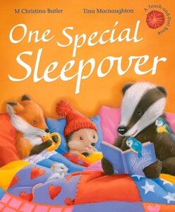 Тактильні книги: One Special Sleepover
