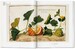 A Garden Eden. Masterpieces of Botanical Illustration [Taschen] дополнительное фото 4.