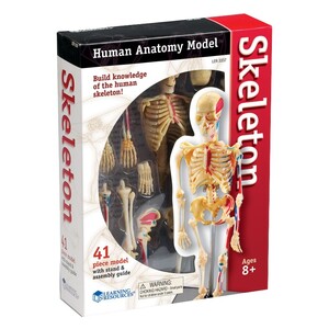 Анатомічні моделі-конструктори: Скелет людини - анатомічна модель від Learning Resources