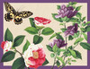 Winterthur Butterflies Desk Set