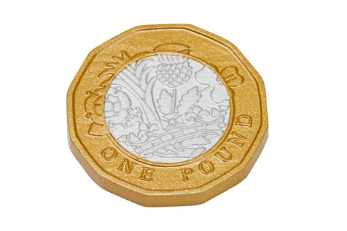 Магазин: Игрушечные деньги "Монеты 1 британский фунт" (50 шт.) Learning Resources