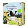 Набір 20 книг My First Phonics Reading Library [Usborne]