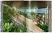 Contemporary Japanese Architecture. 40th edition [Taschen] дополнительное фото 3.
