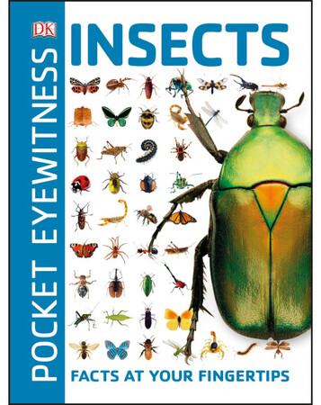 Для середнього шкільного віку: Pocket Eyewitness Insects