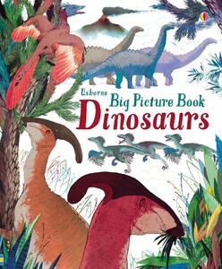 Книги про динозавров: Big picture book dinosaurs