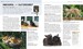 The Complete Cat Breed Book дополнительное фото 4.
