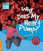 Why Does My Heart Pump? Level 6 [Cambridge Young Readers] дополнительное фото 1.