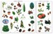 RHS Trees and Leaves Ultimate Sticker Book дополнительное фото 4.