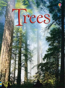 Познавательные книги: Trees - Usborne