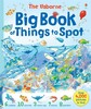 Big book of things to spot [Usborne]