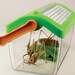 Набір натураліста Edu-Toys Контейнер-переноска для жуків дополнительное фото 3.