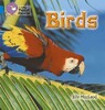 Birds Band 04/Blue — Collins Big Cat Phonics