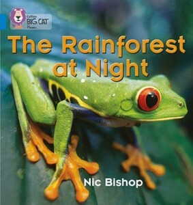 Книги для детей: Big Cat Phonics 4 The Rainforest at Night [Collins ELT]