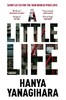 A Little Life [Picador]