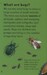 Ladybird Mini: Mad About Bugs дополнительное фото 4.