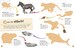 Deadly Animals Ultimate Sticker Book дополнительное фото 1.