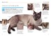 101 Essential Tips Cat Care дополнительное фото 4.