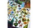 Гра навчальна з багаторазовими наліпками на постері «Життя на землі», Умняшка дополнительное фото 7.