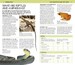 Nature Guide Snakes and Other Reptiles and Amphibians дополнительное фото 3.