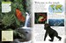 Rainforest дополнительное фото 1.