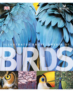 Книги для дітей: The Illustrated Encyclopedia of Birds