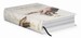 Michelangelo. The Complete Paintings, Sculptures and Architecture [Taschen Bibliotheca Universalis] дополнительное фото 1.
