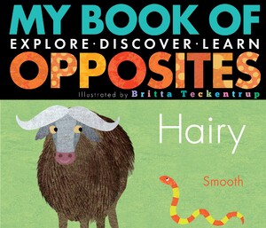 Книги для дітей: My Book of Opposites