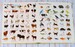 1000 Animals [Usborne] дополнительное фото 3.