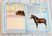 Horses and Ponies Handbook дополнительное фото 3.
