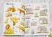 Big sticker book of animals [Usborne] дополнительное фото 6.