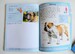 Dogs Handbook дополнительное фото 2.