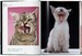 Walter Chandoha. Cats. Photographs 1942–2018 [Taschen] дополнительное фото 3.