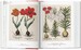 A Garden Eden. Masterpieces of Botanical Illustration. 40th edition [Taschen] дополнительное фото 2.
